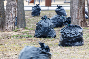 A bunch of trash bags are scattered across a grassy field