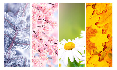 Set of nature banners depicting natural world. Four season of year. Each one features scene of...