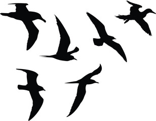Group of birds flying together vector silhouette design. Birds flock silhouette vector.