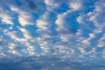 A beautiful blue sky filled with a pattern of scattered white and grey altocumulus clouds.