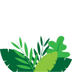 Greenery Tropical Shrubs