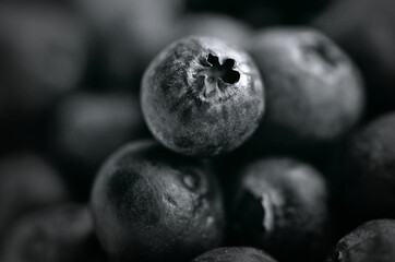 Makro der Blaubeere