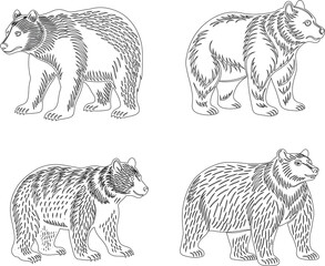Minimalist doodle bear icon set in handcrafted, line art and outline styles, symbols of wilderness power.
