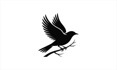 Fototapeta premium Elegant bird in flight silhouette