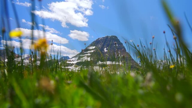 Glacier National Park in Montana features stunning landscapes of green grass and towering mountains, creating a serene atmosphere ideal for exploration and enjoying its natural wonders