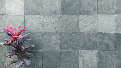 flowers on andesite stone gray wall