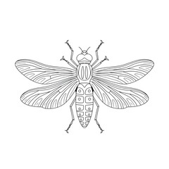 greenfly illustration vector style colouring page