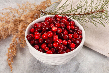 Ripe sweet sour cranberry heap