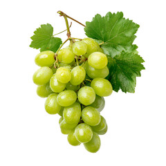 Obraz premium Bunch of Green Grapes with Leaves Isolated on White