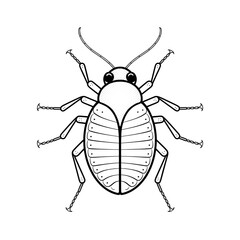 Bed bug illustration vector style coloring page