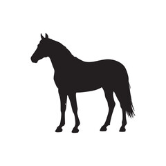 Black horse silhouette standing gracefully isolated on white background