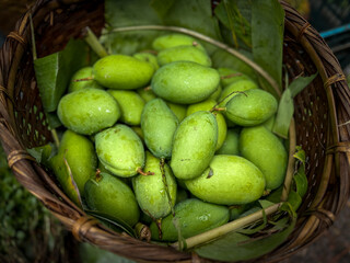 Organic Tropical Fruit at Market. Basket of Fresh Green Mangoes