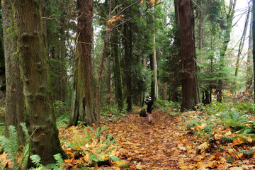 Person photographing in autumn forest on leaf-covered trail