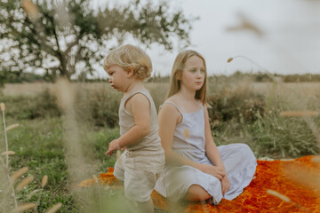 Dreamy Summer Walk Through the Fields, soft focus