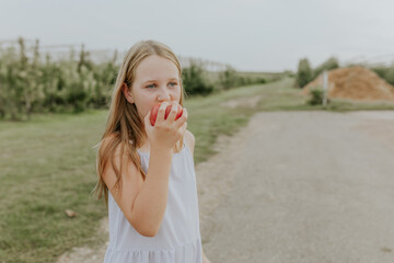 Dreamy Summer Walk Through the Fields, soft focus