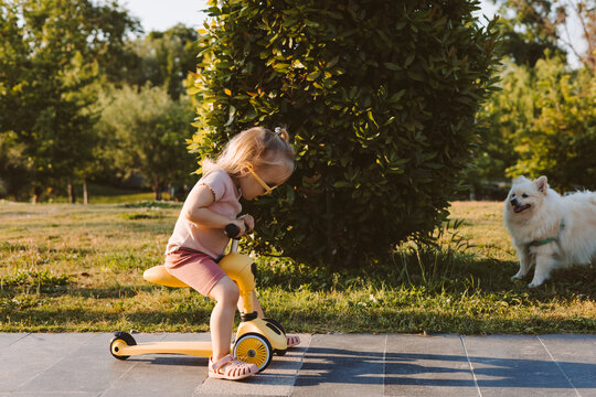 girl rides a yellow tricycle in park with a dog