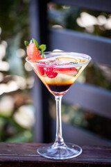 Cocktail in Martini Glass with Fresh Fruit