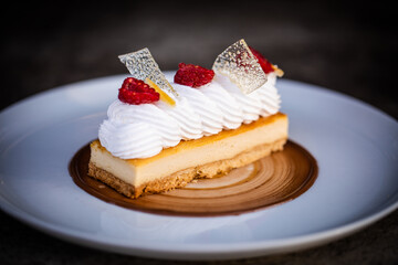 Gourmet Cheesecake with Whipped Cream