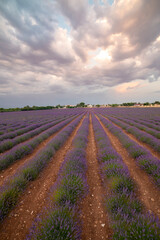 Excellent for Agritourism Marketing, Wellness Products