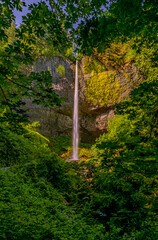 Latourell Falls in the Columbia River Gorge Oregon