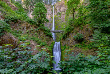 Multnomah Falls in the Columbia River Gorge