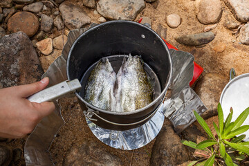 Freshly caught brown trout fillets cooked over a small portable