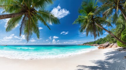 The serene beach scene with palm trees and turquoise ocean waves.