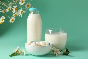 Fresh milk, mozzarella balls and flowers on turquoise background. Dairy products