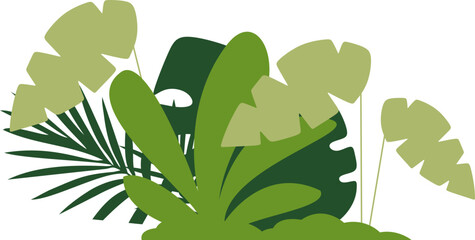 Green Tropical Bushes Illustration