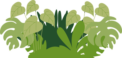 Green Tropical Bushes Illustration