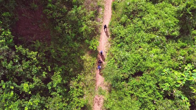Aerial view shows a group of people walking along a narrow path amidst dense tropical forest in Sukoharjo, Central Java, Indonesia on Sunday, June 8, 2025.