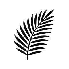 Coconut leaf vector illustration 