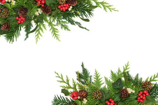 Christmas winter natural nature flora border background holly, mistletoe berries, ivy, fir, pine cones. Festive Xmas design for holiday season. Greeting card, gift tag.