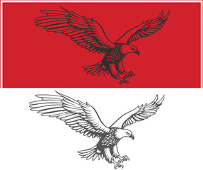 Two Eagle Illustrations One Red Background One White Background Both in Flight