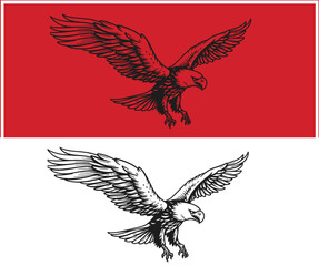 Detailed Eagle Illustration in Flight with Red and White Background Variations