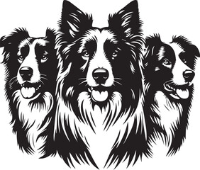 Border Collie Dog Vector – Silhouette 