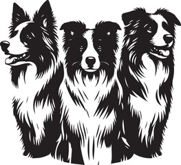 Border Collie Dog Vector – Silhouette 