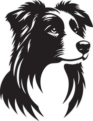 Border Collie Dog Vector – Silhouette 