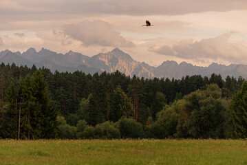 Piękny krajobraz na górskie szczyty, tatry. © Elżbieta Kaps