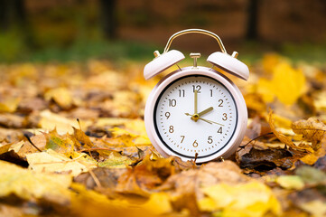 Winter time changeover, end of daylight saving time in autumn, alarm clock fall back switch, forest with colorful foliage