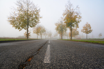 Foggy road, rain, moisture, fog on an autumn morning, low visibility, slippery street, overcast...