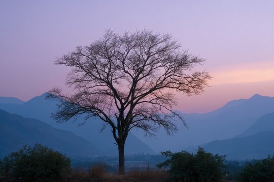 Majestic bare tree silhouetted against a serene twilight sky with layered mountains - Powered by Adobe