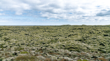 Moss-covered lava formations in Skaftareldahraun, Iceland. A unique blend of volcanic terrain and vibrant green moss