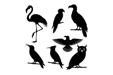 Fototapeta premium Silhouette collection featuring various bird species including flamingo and owl