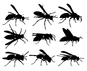 Set of wasp silhouettes. 