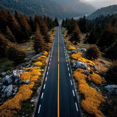 Road markings on asphalt road surface markings