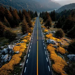  Road markings on asphalt road surface markings © Karen
