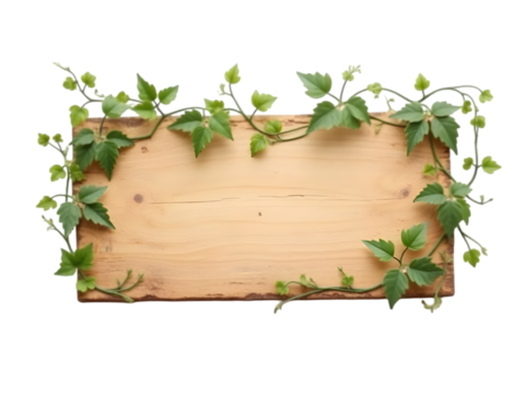 Rustic Light Brown Wooden Sign Board Framed by Lush Green Vine Leaves Isolated on a transparent background