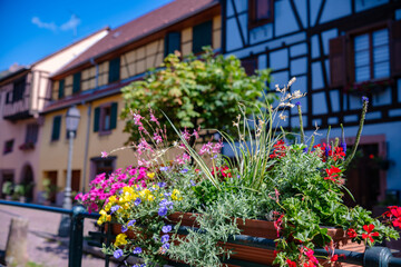 The beautiful Alsace village of Ribeauvillé