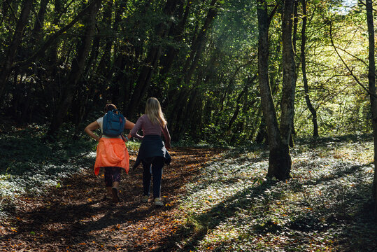 Deux femmes marchant dans la for&ecirc;t. Balade dans les bois. M&egrave;re et fille se promenant. Couple lesbien. Homosexuel dans la nature. Randonn&eacute;e ext&eacute;rieure